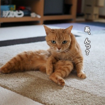 今日は寒かった