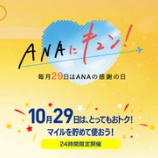 『10月29日24時間限定"ANAにキュン!"航空券セール・減額マイル・新企画なしの全10企画』の画像