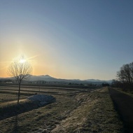 【日々の暮らし】いつの間にか春の気配を追いかける散歩道♪