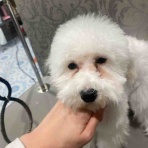 福岡県福岡市東区 ペットショップワンラブ ゆめタウン博多店スタッフブログ