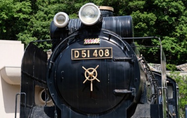 『LAOWA65mm2倍マクロによる生田緑地①　2020/09/19』の画像