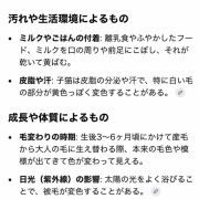 解明されない謎黄ばみ…