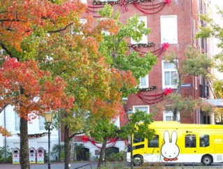 2025　長崎・佐賀の紅葉、銀杏スポットまとめ！