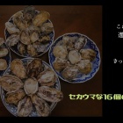 セカウマな16個の殻付きたち【牡蠣食べ放題】