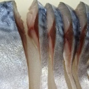 本日㈫通常営業！明日㈬は定休日です！！刺身と海鮮丼「発寒かねしげ鮮魚店」