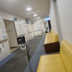 Shoyamao's rehabilitation