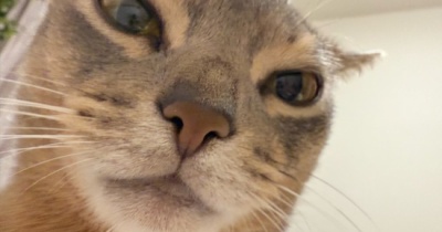 胸の重みで起きる朝