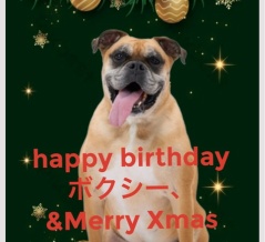 happy birthday &メリークリスマス🎁