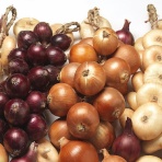 飲食経験40年のblog