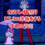 『カジノレイド祭りと７・３の準備をする今週の予定。』の画像
