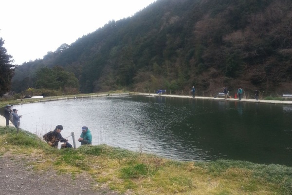 虹鱒漁師のブログ 足柄キャスティング