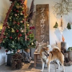 life with ranran & lili