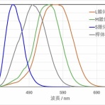 "モレキュール"の騎行