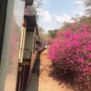 タイ特別列車で行く日帰りカンチャナブリの旅