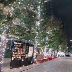 銀座の街が色づき始めています その3