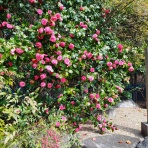 意識改革最前線の日々