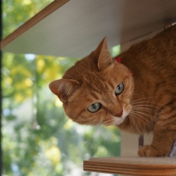 桜はまだだけど…