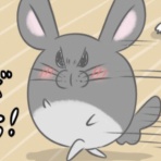 毎日全身タイツ日和