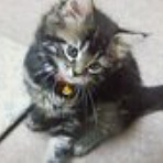 ちょいと　立ち話