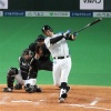 阪神、日本ハム・レアードを獲得調査ｗｗｗｗｗｗｗｗ