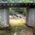 森林鉄道（観光用）