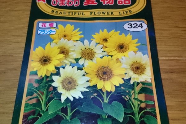 Bon Bonsai ミニひまわり 夏物語