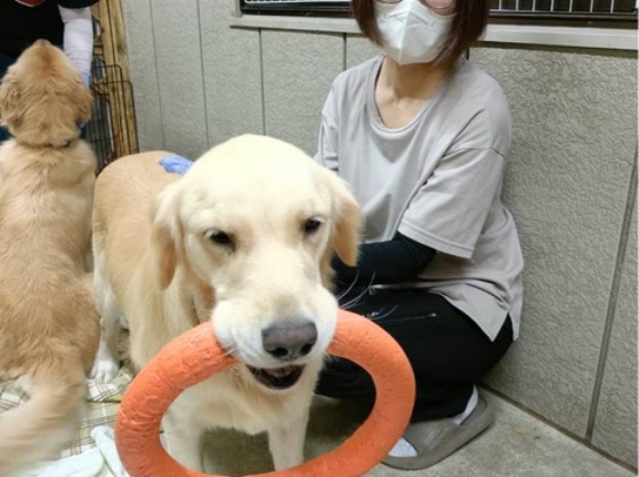 本日も曇り空のシェルターです。🐶🖐️