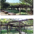 薬師池公園