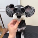 ペットショップワンラブ ホームセンターバロー正木店のスタッフブログ