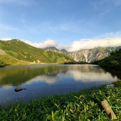♪324❤️ ネコ　猫　桜　春　パール　マスクチェーン　ハンドメイド　マスク ♪324❤️ ネコ猫桜春パールマスクチェーンハンドメイドマスク