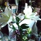 『アイスクリーム　過ぐ世現つ世紡ぐ糸MM553』の画像