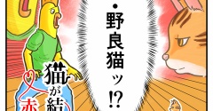猫が結ぶ赤い糸【4話】契約書の意味