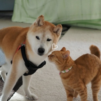 爽やか〜♪