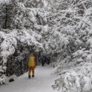 厳冬期の高尾山は雪山です。
