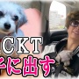 知人に愛犬をプレゼントして大炎上したGACKTさん、叩かれすぎてYoutubeのコメント欄を閉鎖してしまう・・・