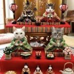 猫カフェ ねこまんまBlog