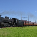 秩父鉄道 SL日本遺産のまち行田号 武州荒木～東行田 2025/08/30