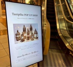 大好評！アフリカ・モロッコのランプ&雑貨販売！『ビルボードプレイス』で『Tanipika POP UP SHOP』開催！5月14日～20日。