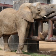 仲良し姉妹の朝のスキンシップ