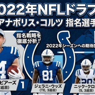 🐕 茶犬 🐕 NFLブログ