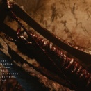 【SEKIRO】忍具とか技ほとんど使ってないわ…カラスとかもっと使った方がいいんかねぇ