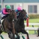 先週の結果 アルヴァルディ 中京 2歳新馬戦 9着