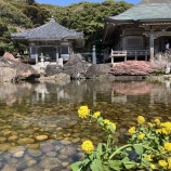 『17日目　2025年3月21日（金）晴れ』の画像
