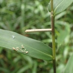 近所で宝探し　