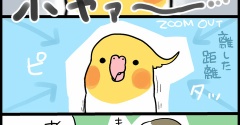 鳥から感じる自分の変化