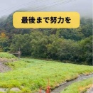 おはようございます(￣∀￣)10月25日～《人生の応援カレンダー》 本日は【最後まで努力を】