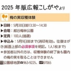 ファンホームのはなまる日記