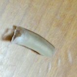 『爪折れ事件とぐうたら寝姿／（≡・　x　・≡）＼』の画像