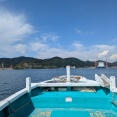 会計釣行　和歌山由良