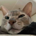 ドアップでナデナデ